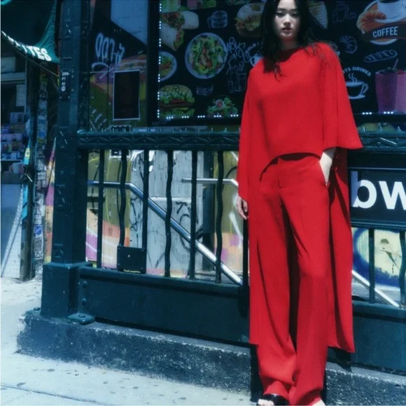 Zara Red Pants - Picture 1 of 5